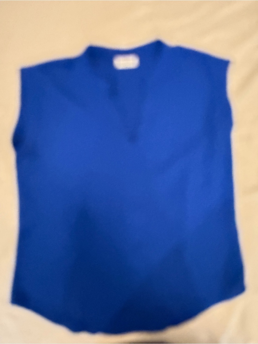 Blue Sleeveless V-Neck Women's Top
